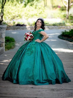 Green Sweet 16 Quinceanera Dress Sequined Sparkly Lace Pageant Party Dress Ball Gown Mexican Birthday Gown